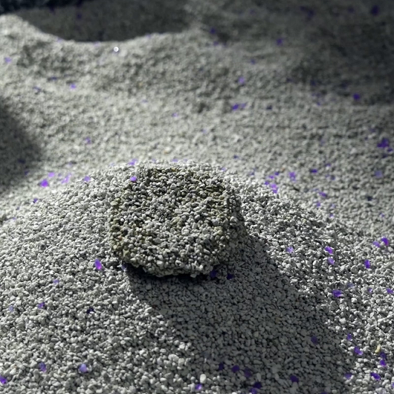 Chọn loại cát khoáng tốt nhất cho mèo: Lời khuyên thiết thực cho ngôi nhà sạch sẽ hơn